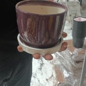 ceramic cups
