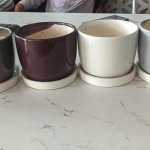 ceramic cups