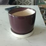 ceramic cups